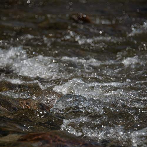 Photo #13586585