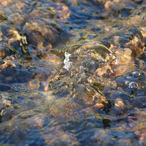 Photo #13586620