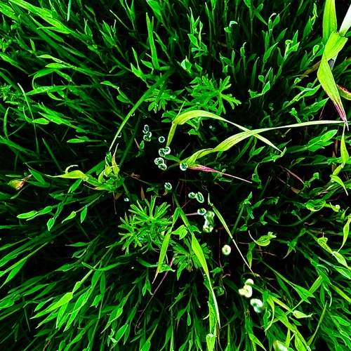Photo #13586672