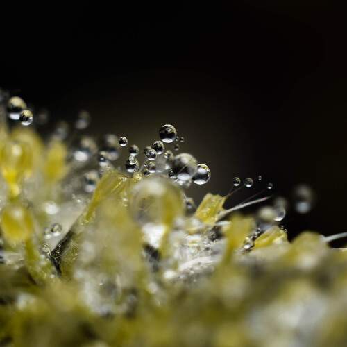 Photo #13586939