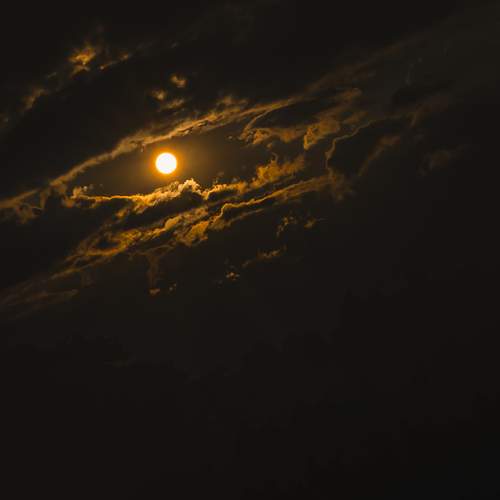 Photo #13587001