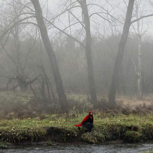 Photo #13587145