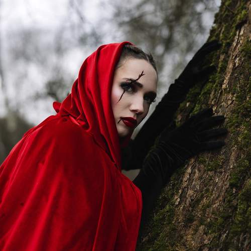 Photo #13587146