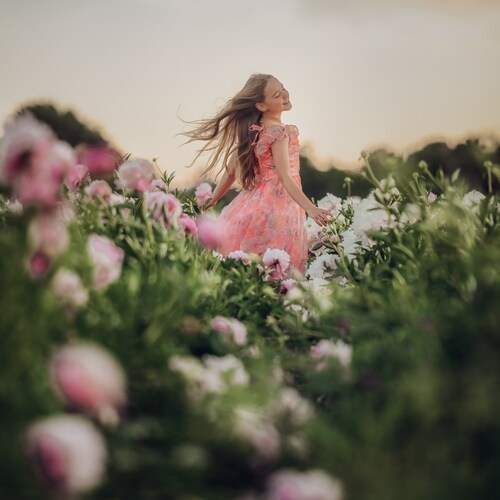 Photo #13587320