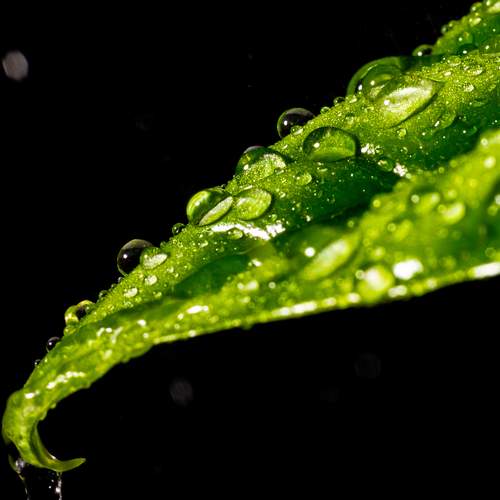 Photo #13587324