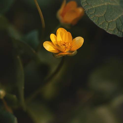 Photo #13587334