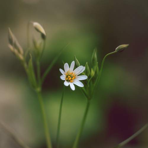 Photo #13587344