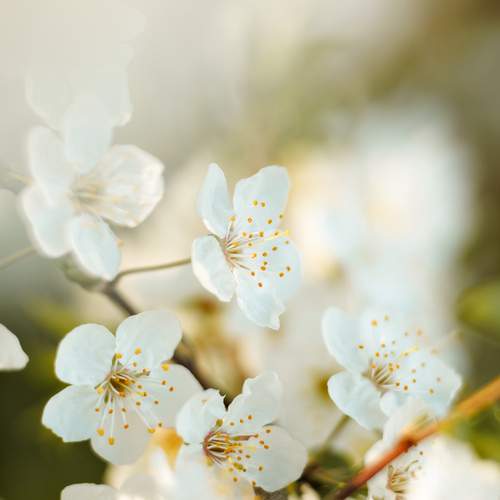 Photo #13587346