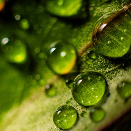 Photo #13587431