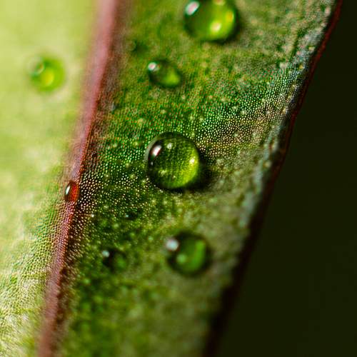 Photo #13587432