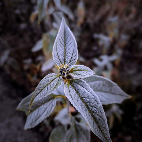 Photo #13587572