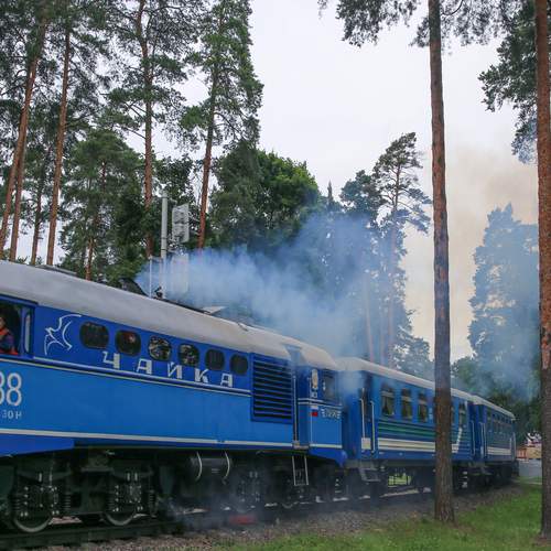 Photo #13587695
