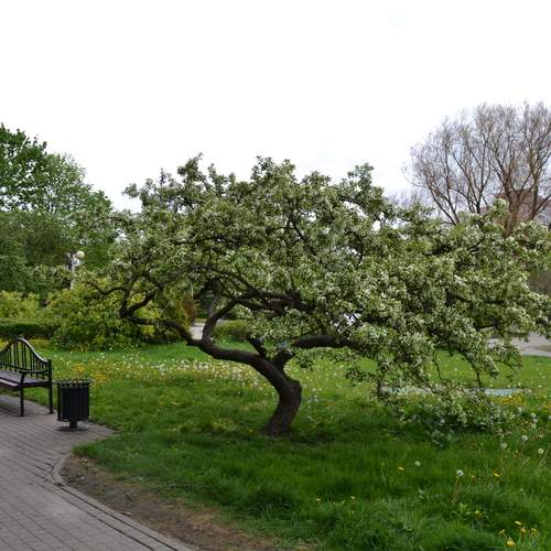 Photo #13587936