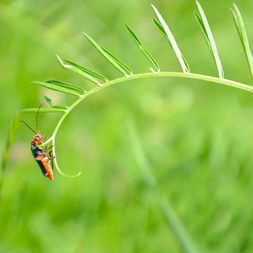 Photo #13588013
