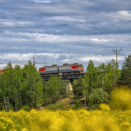 Photo #13588030