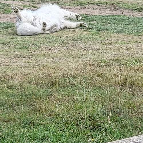 Photo #13588076