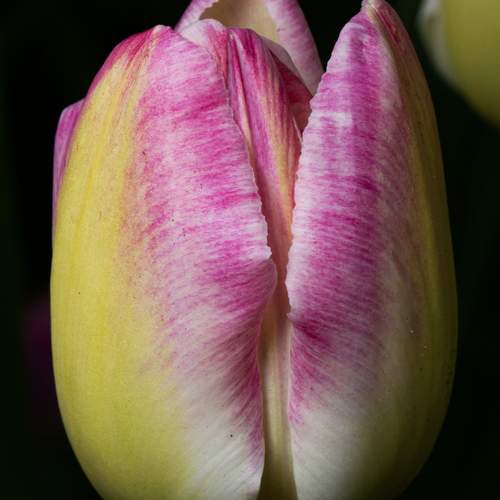 Photo #13588113