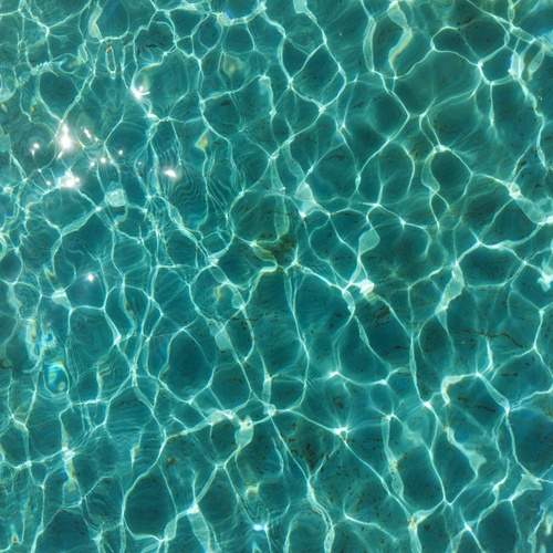 Photo #13588151