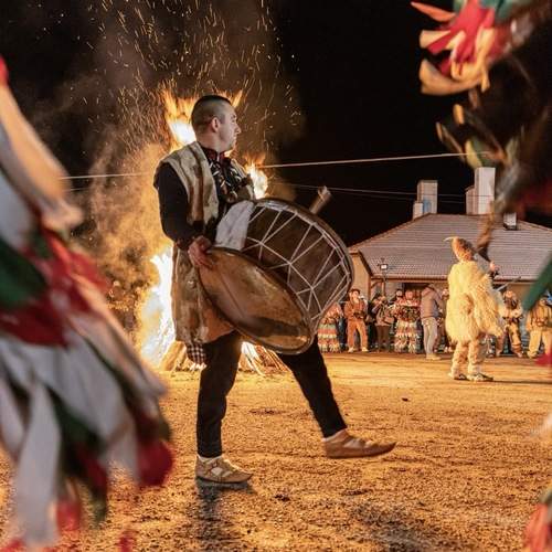 Photo #13588220