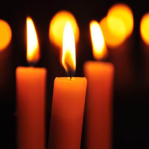 Photo #13588227