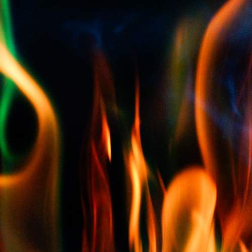 Photo #13588233