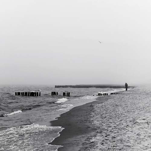 Solitude