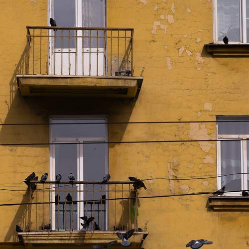 Photo #13588540
