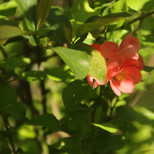 Photo #13588598