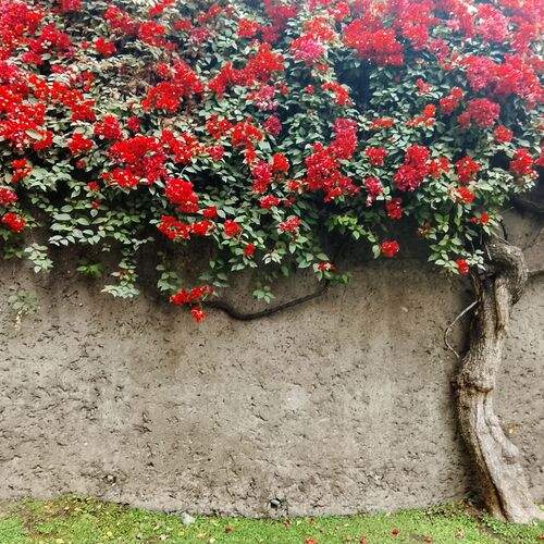 Photo #13588630