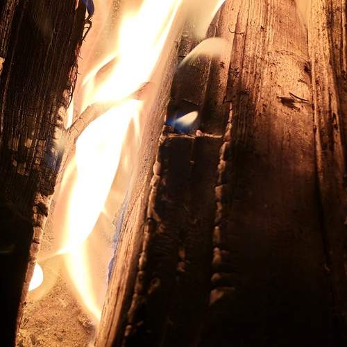 Photo #13588660