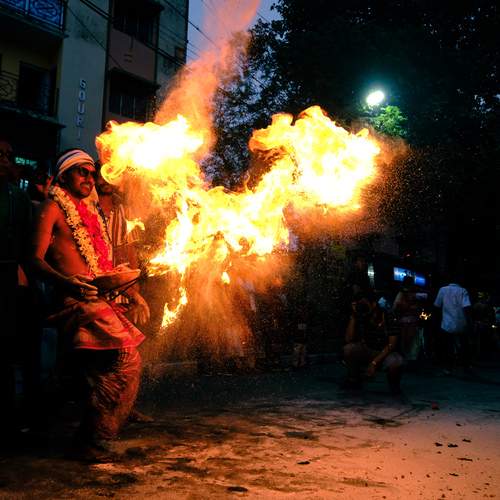 Photo #13588706