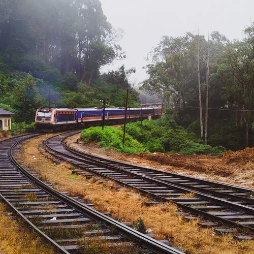 Photo #13588715