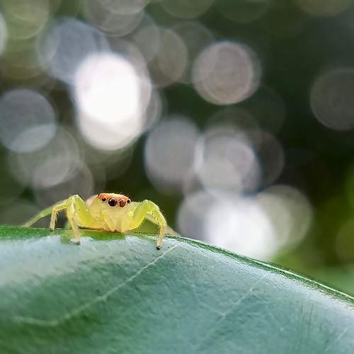 Photo #13588728