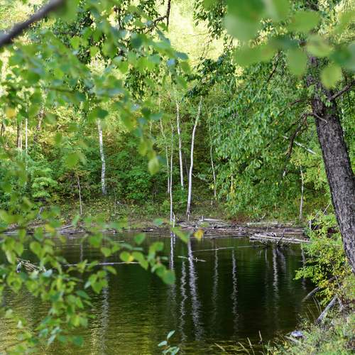 Photo #13588736