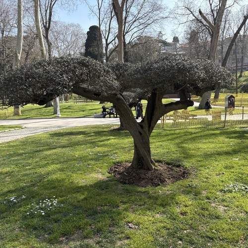Photo #13588760