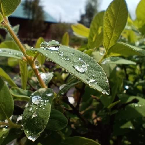 Photo #13588767