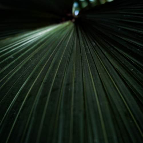 Photo #13588781