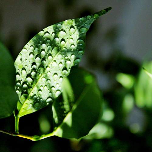 Photo #13588841