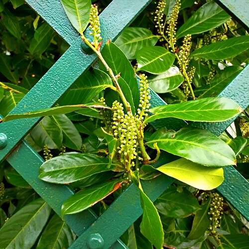 Photo #13588890