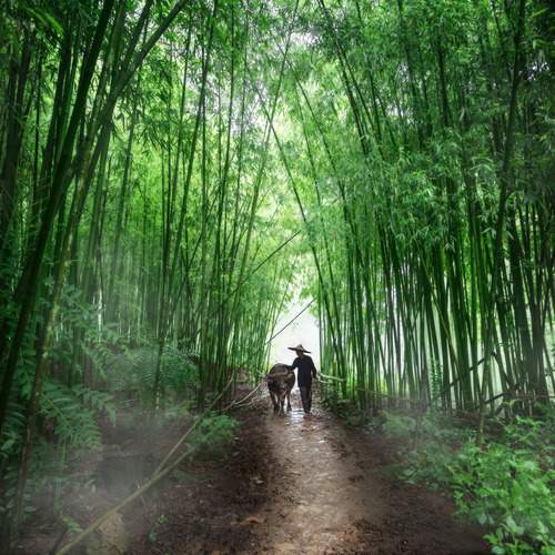 Photo #13588949