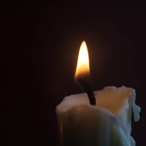 Photo #13588960