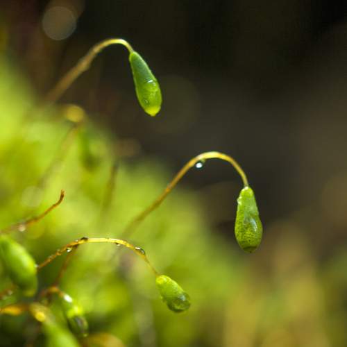 Photo #13588969