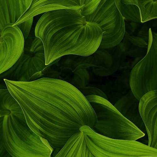 Photo #13588983