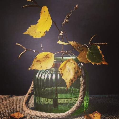 Photo #13589039