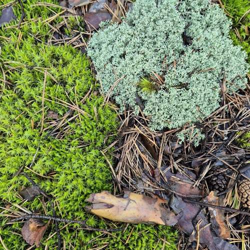 Photo #13589047