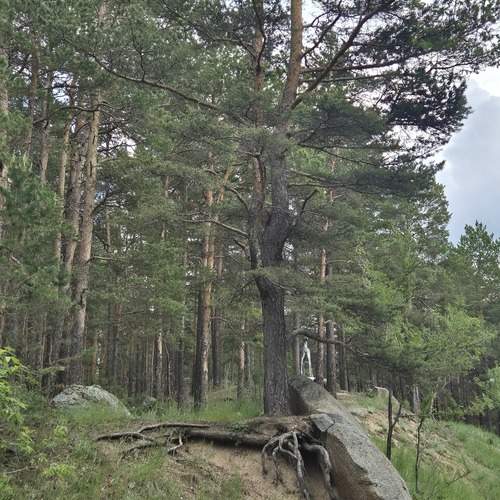Photo #13589052