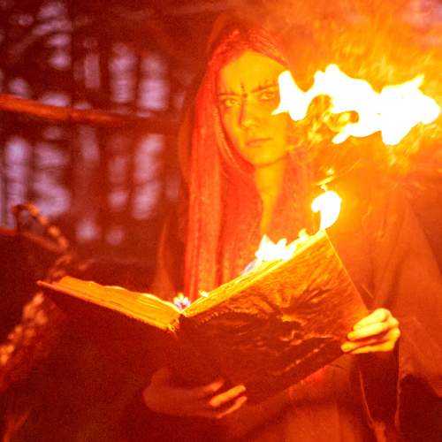 Photo #13589196