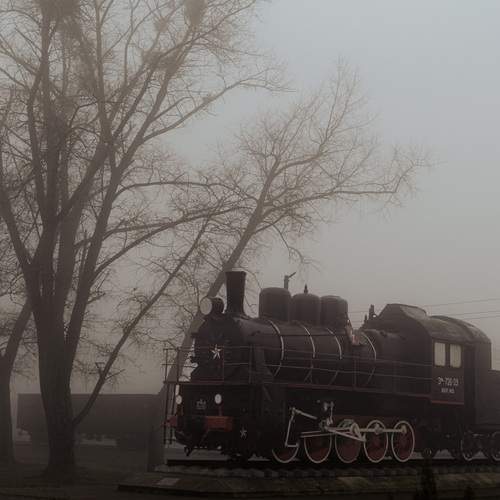 Photo #13589224