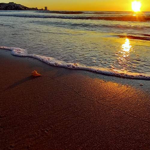 Photo #13589240