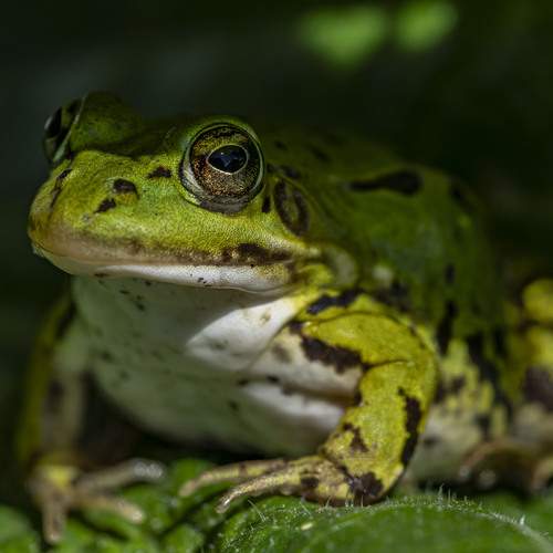 Photo #13589279